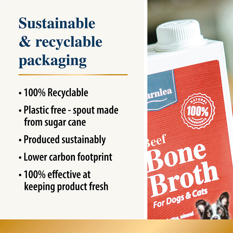 Beef Bone Broth for Dogs & Cats
