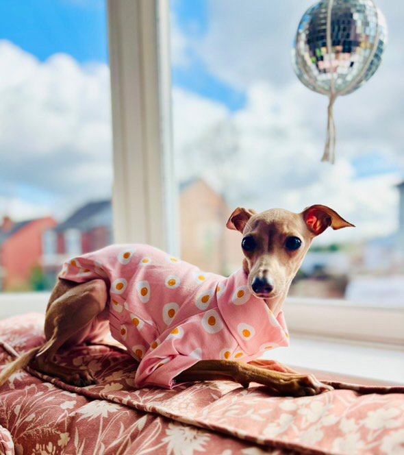 Jersey T-Shirt - Fried Eggs