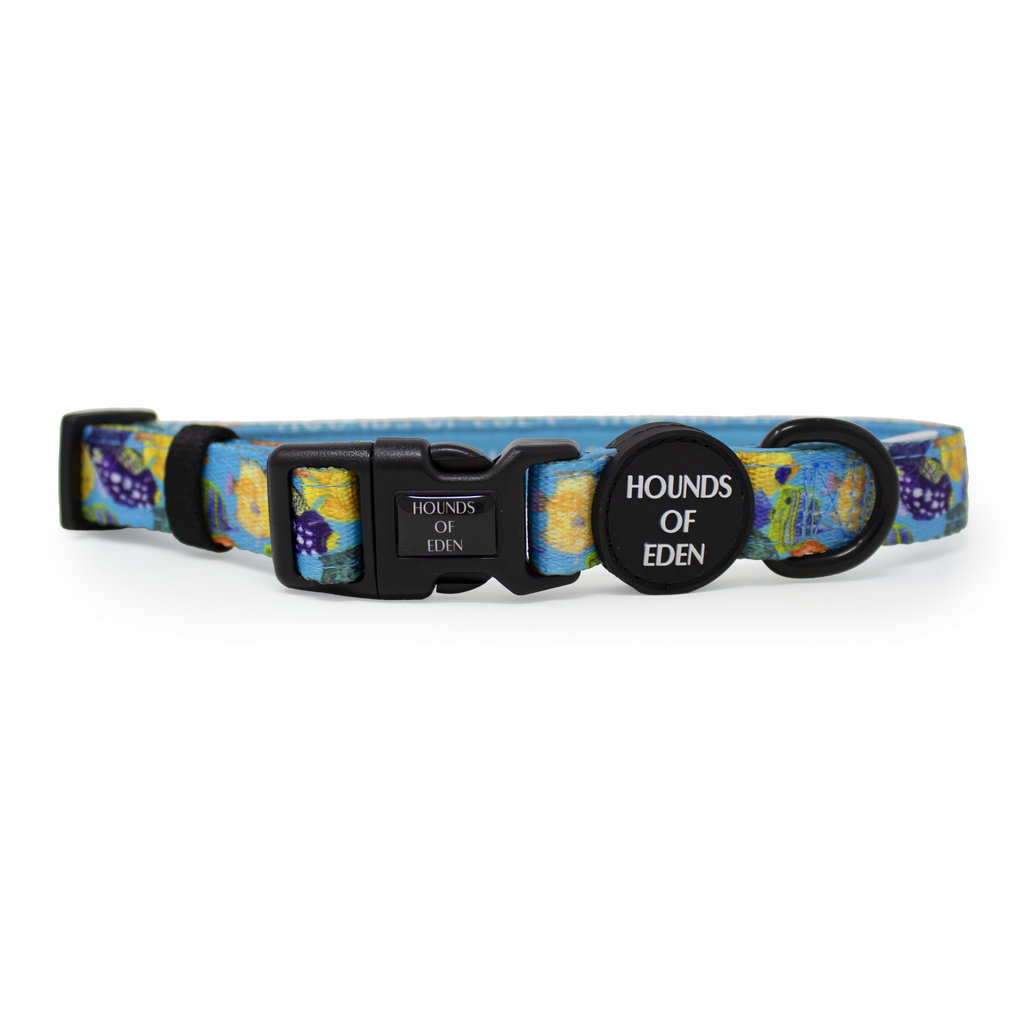 Under The Sea Design Dog Collar