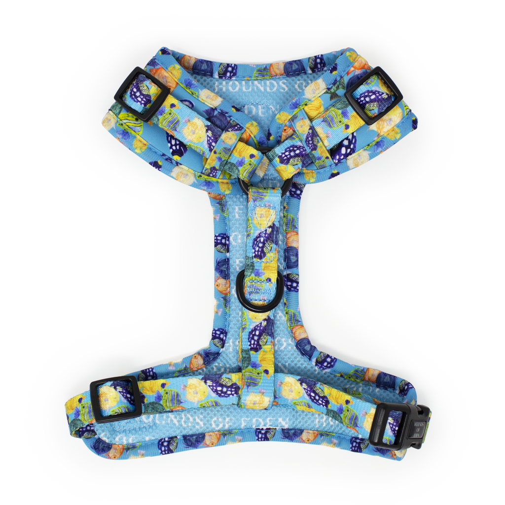 Under The Sea Design Dog Collar