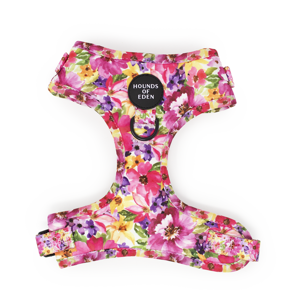 Florentina floral dog harness in pink, purple, yellow with Hounds of Eden tag