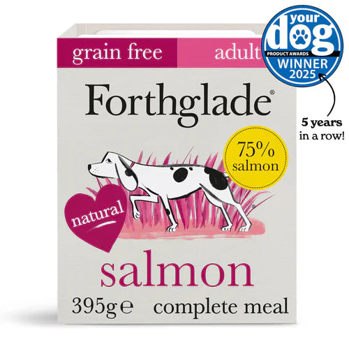 Salmon – 395g