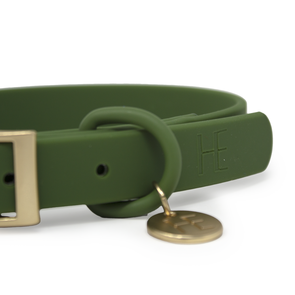 Forest Green 'All Weather' Dog Collar