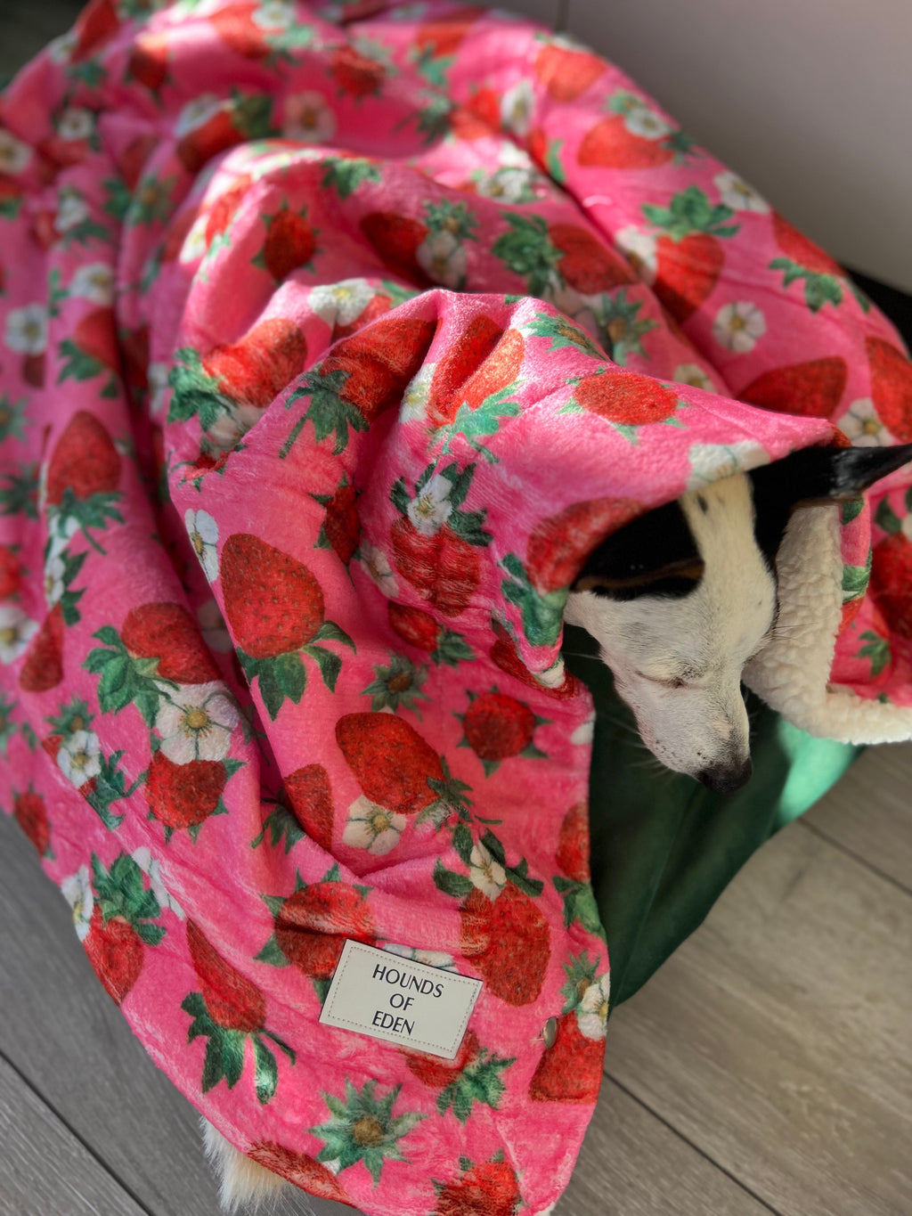 Strawberry Patch Snuggle Blanket