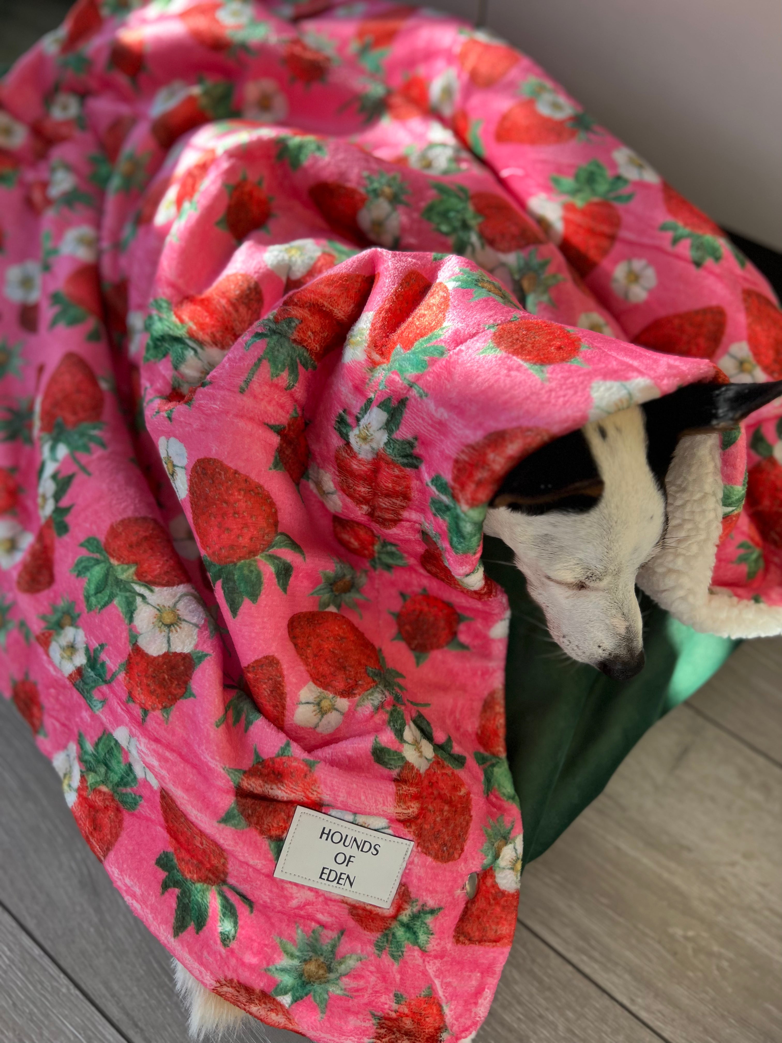 Strawberry Patch Snuggle Blanket