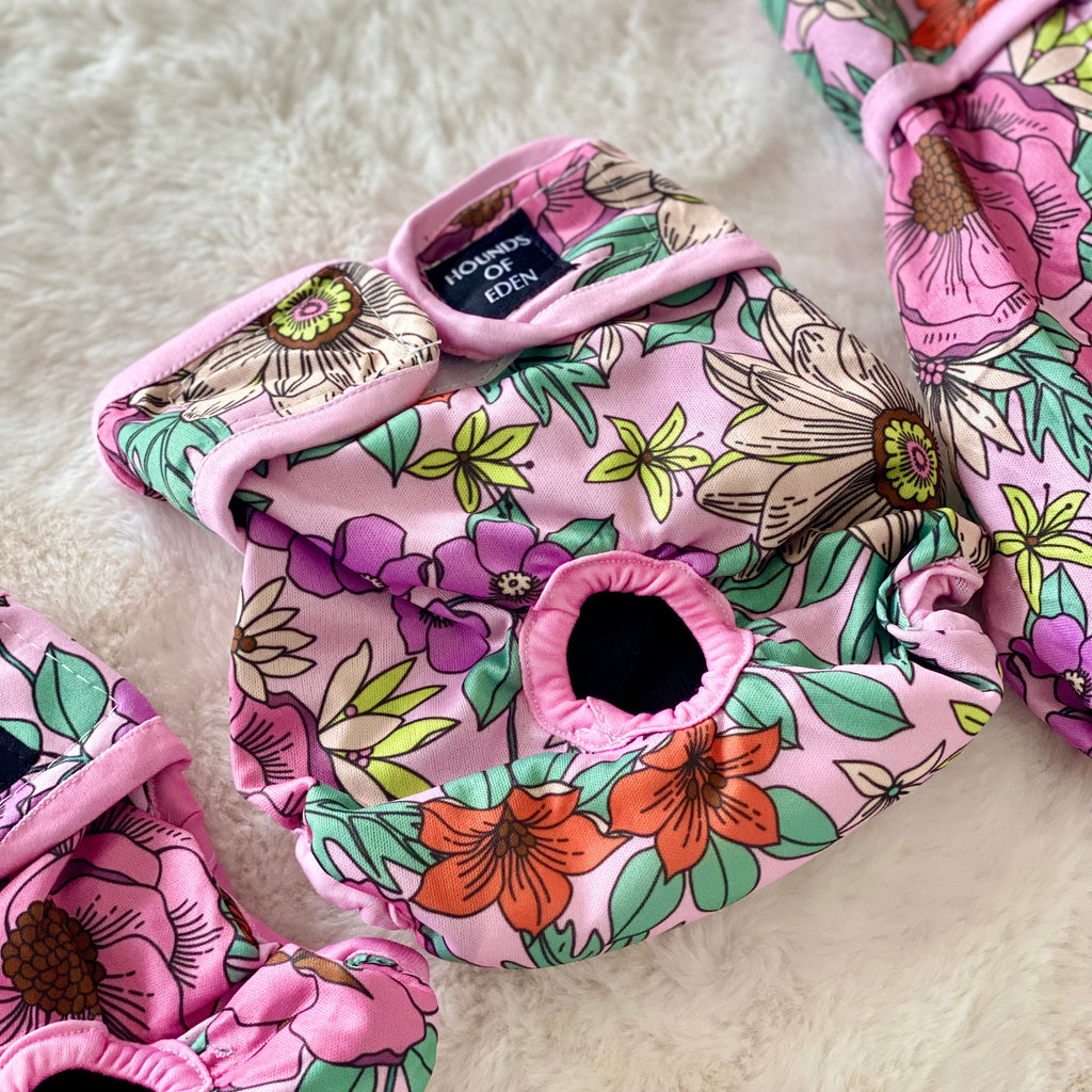 Wild Blossom - Dog Season Hygiene Panties