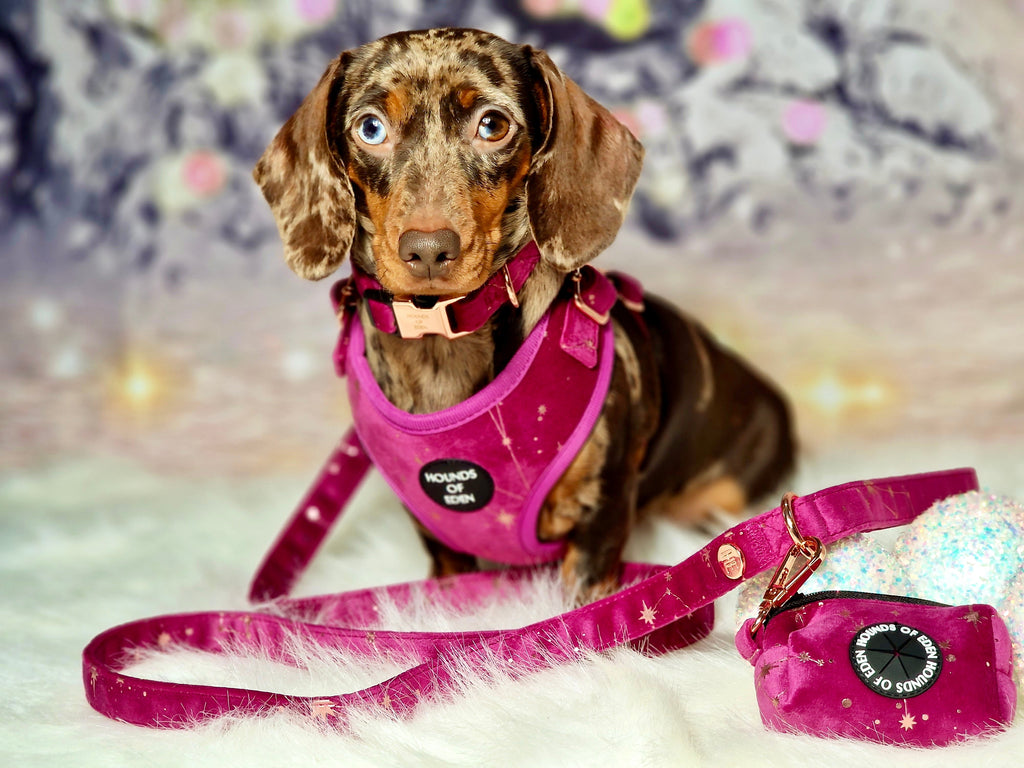 Magenta Sky Velvet Lead