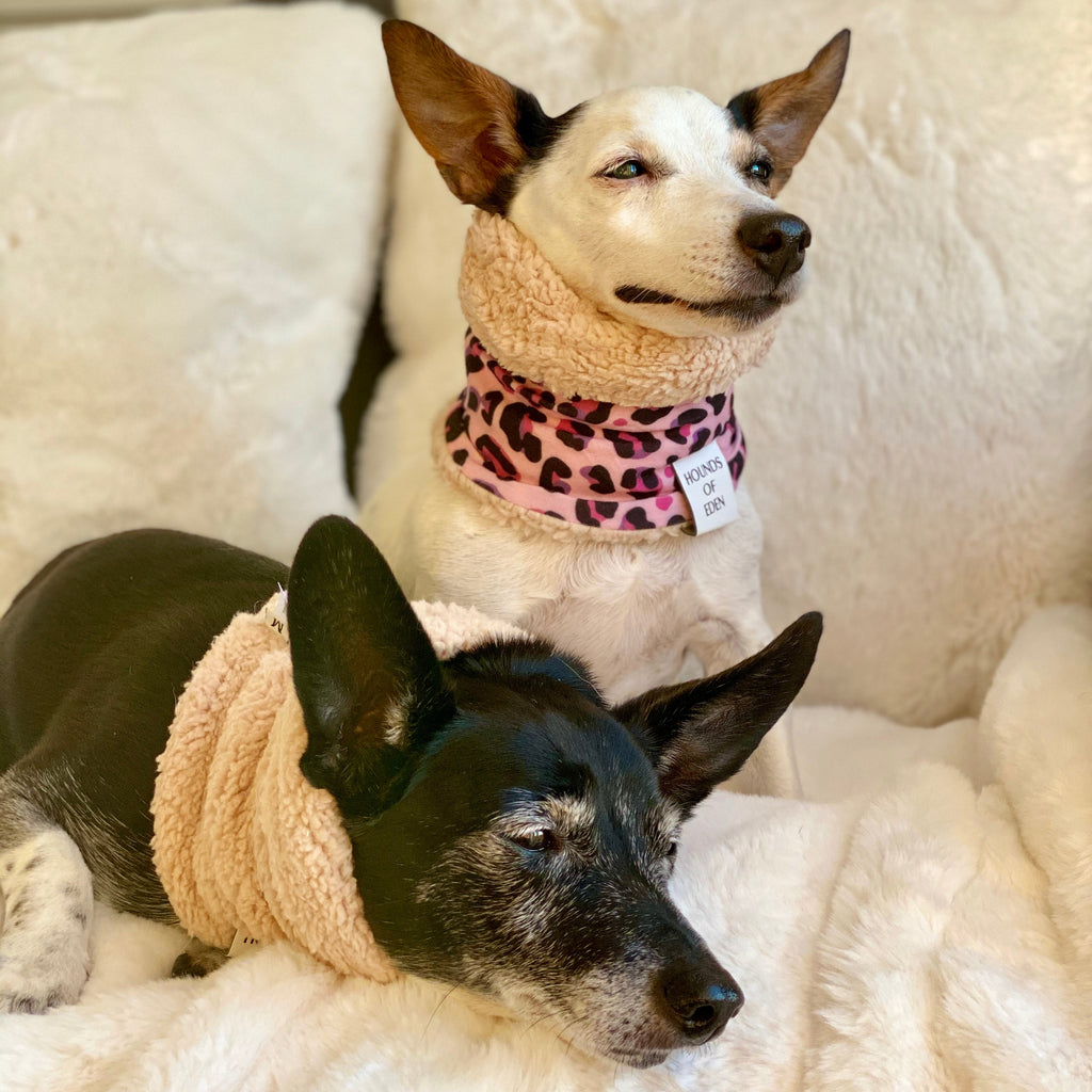 Blushing Leopard Dog Snood