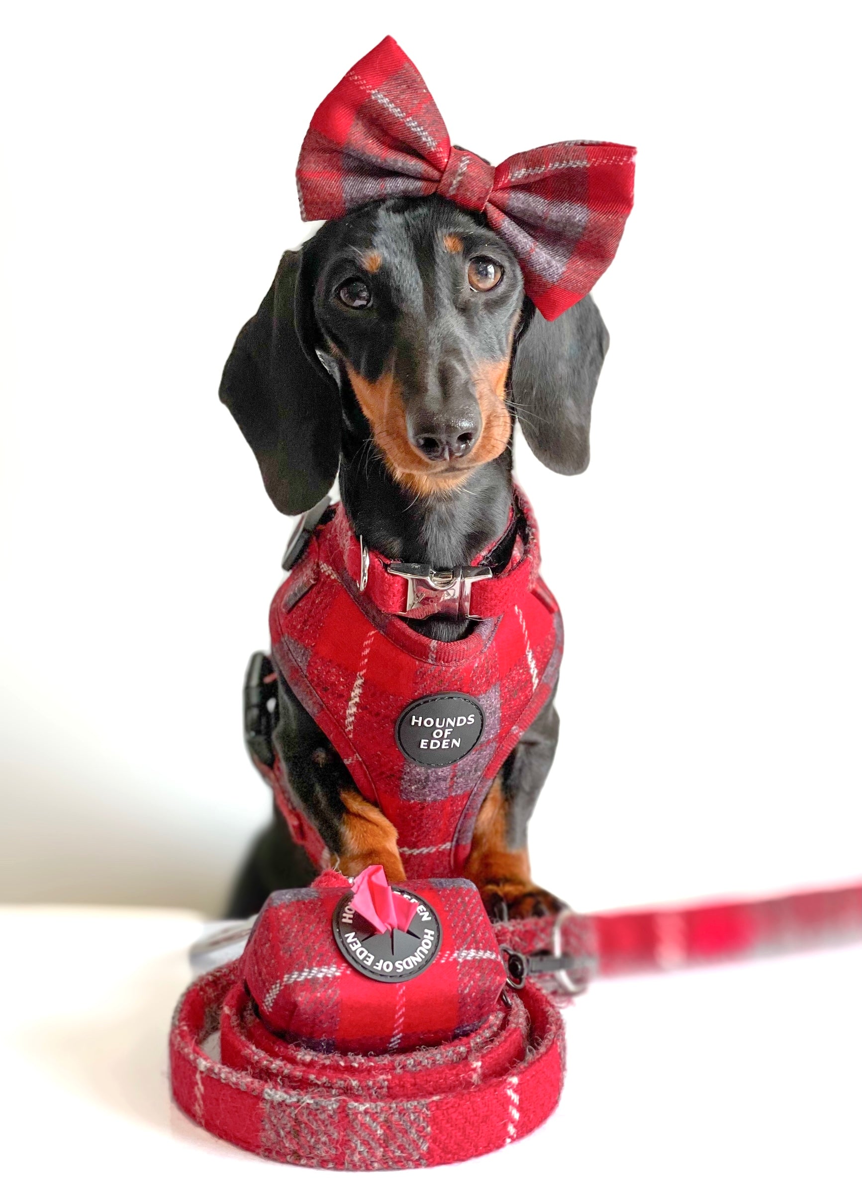 Sammi red plaid dog harness with grey check bow and text patch