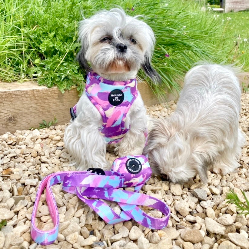 Blush it Off pink purple pastel mint lemon camo dog harness with leash