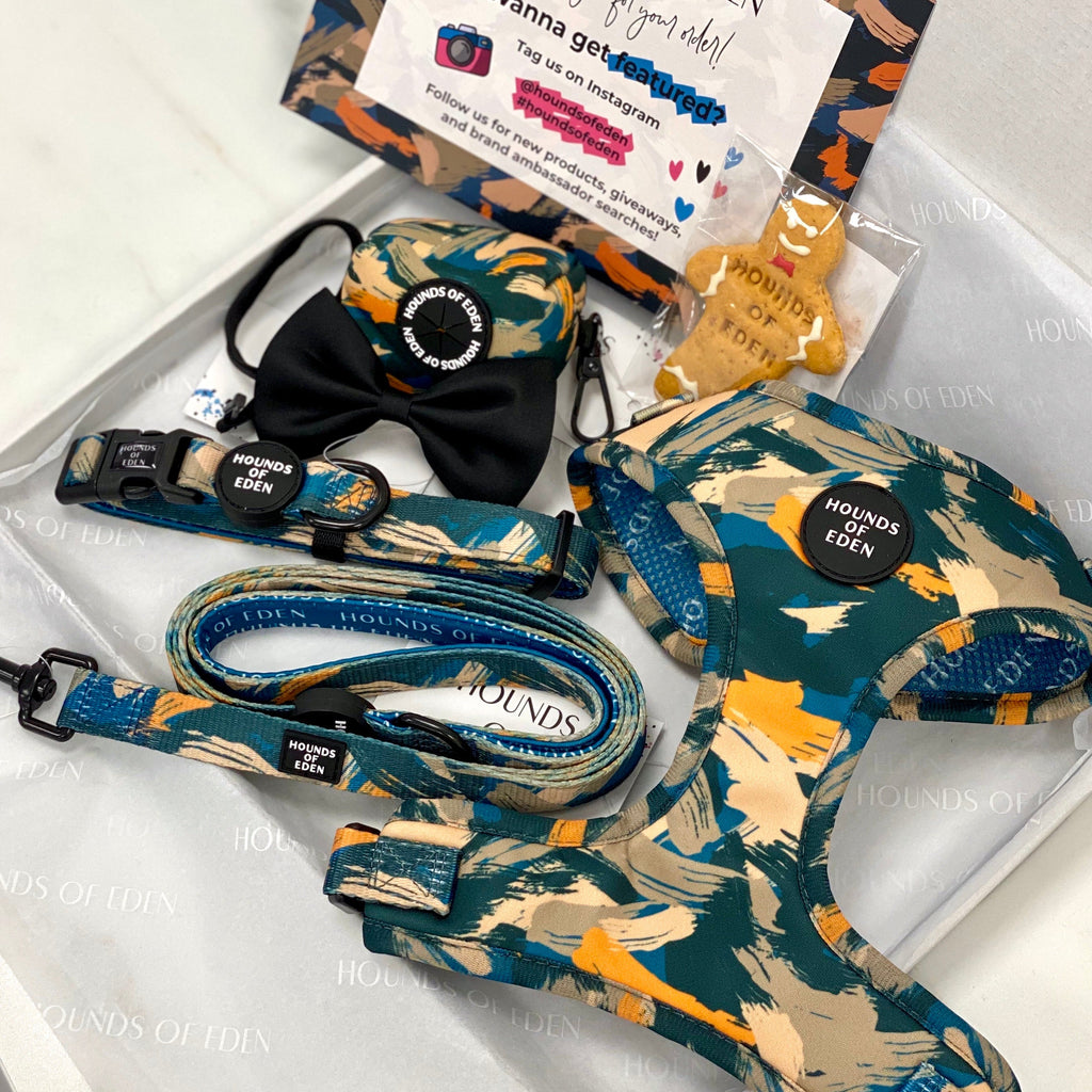 Blue and beige abstract dog harness with black hardware and Hounds of Eden branding