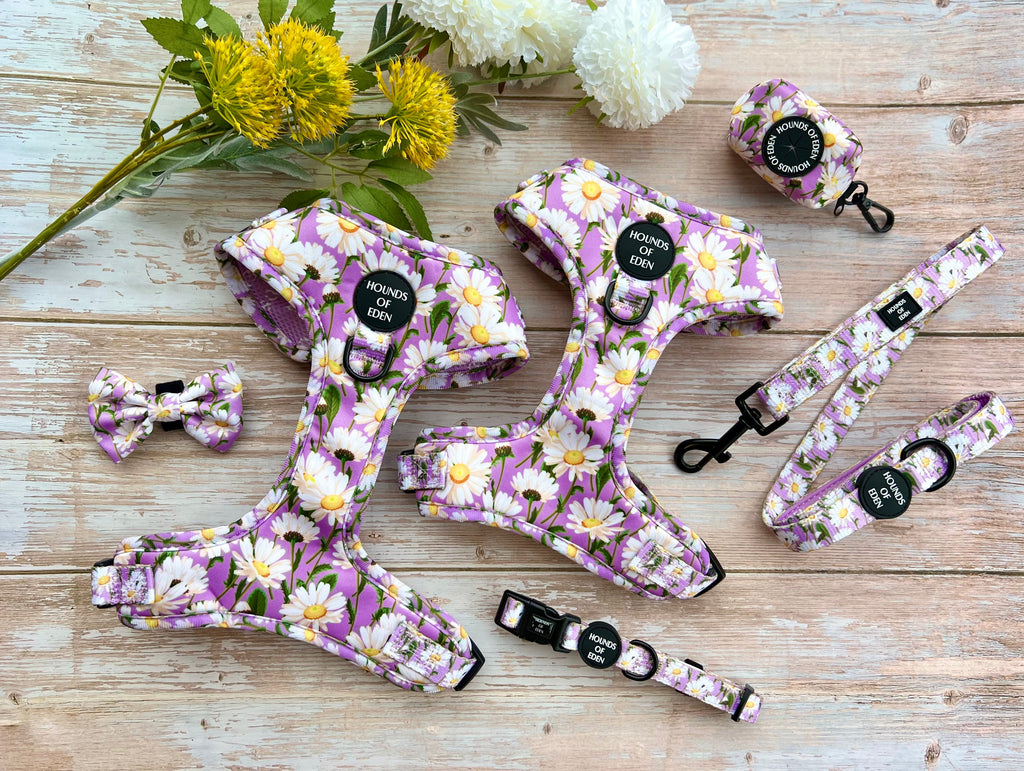 Daisy Dreams Design Dog Collar