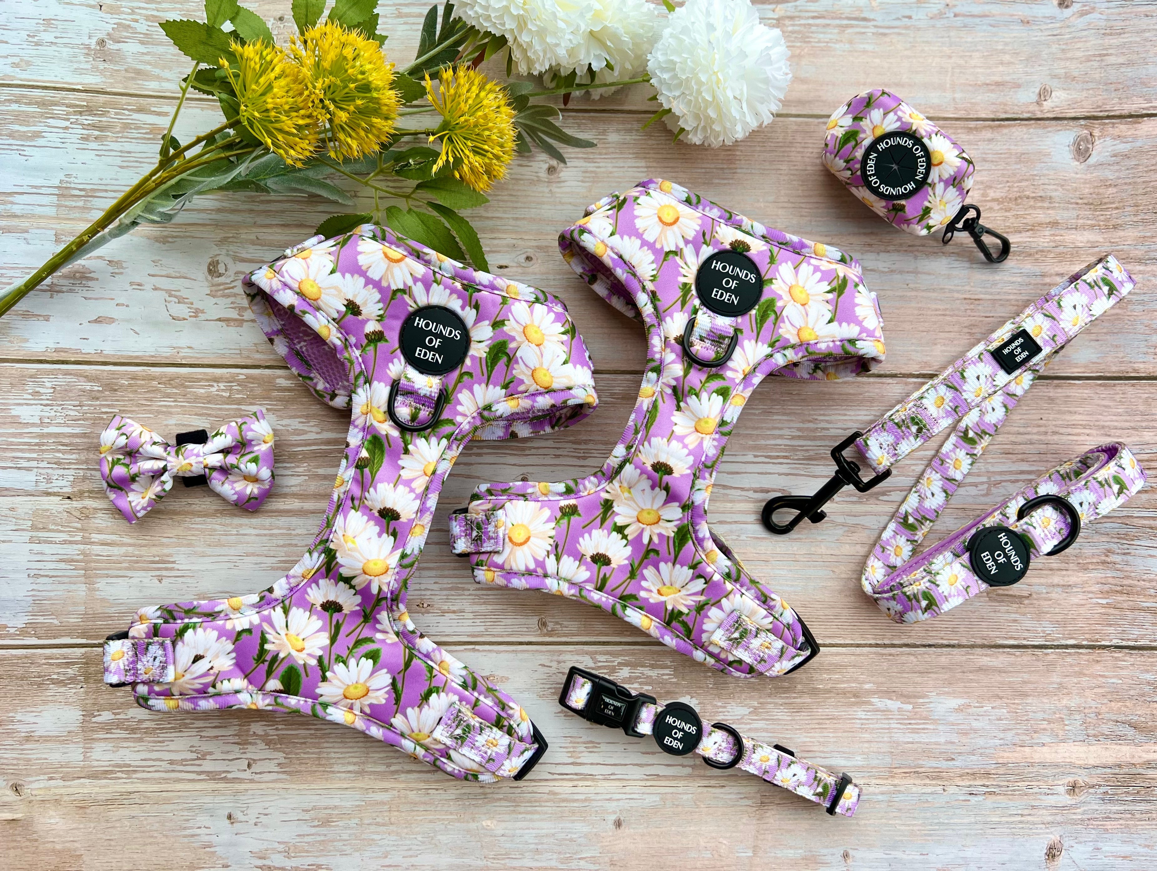 Daisy Dreams Design Dog Collar