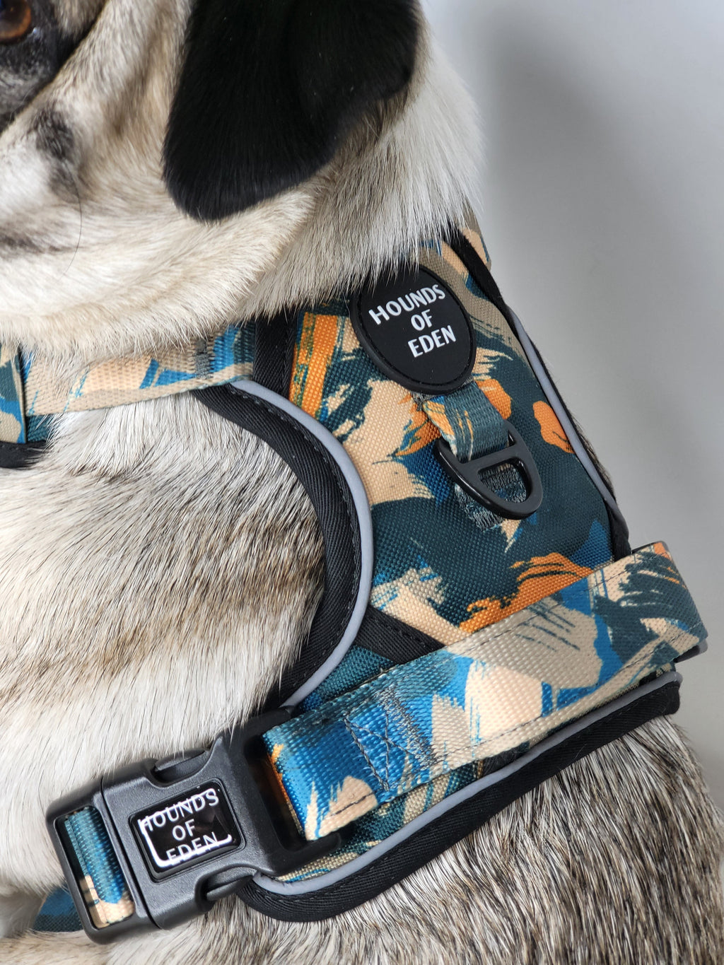 Supaw Strong™ 'Brush It Off' Utility Harness