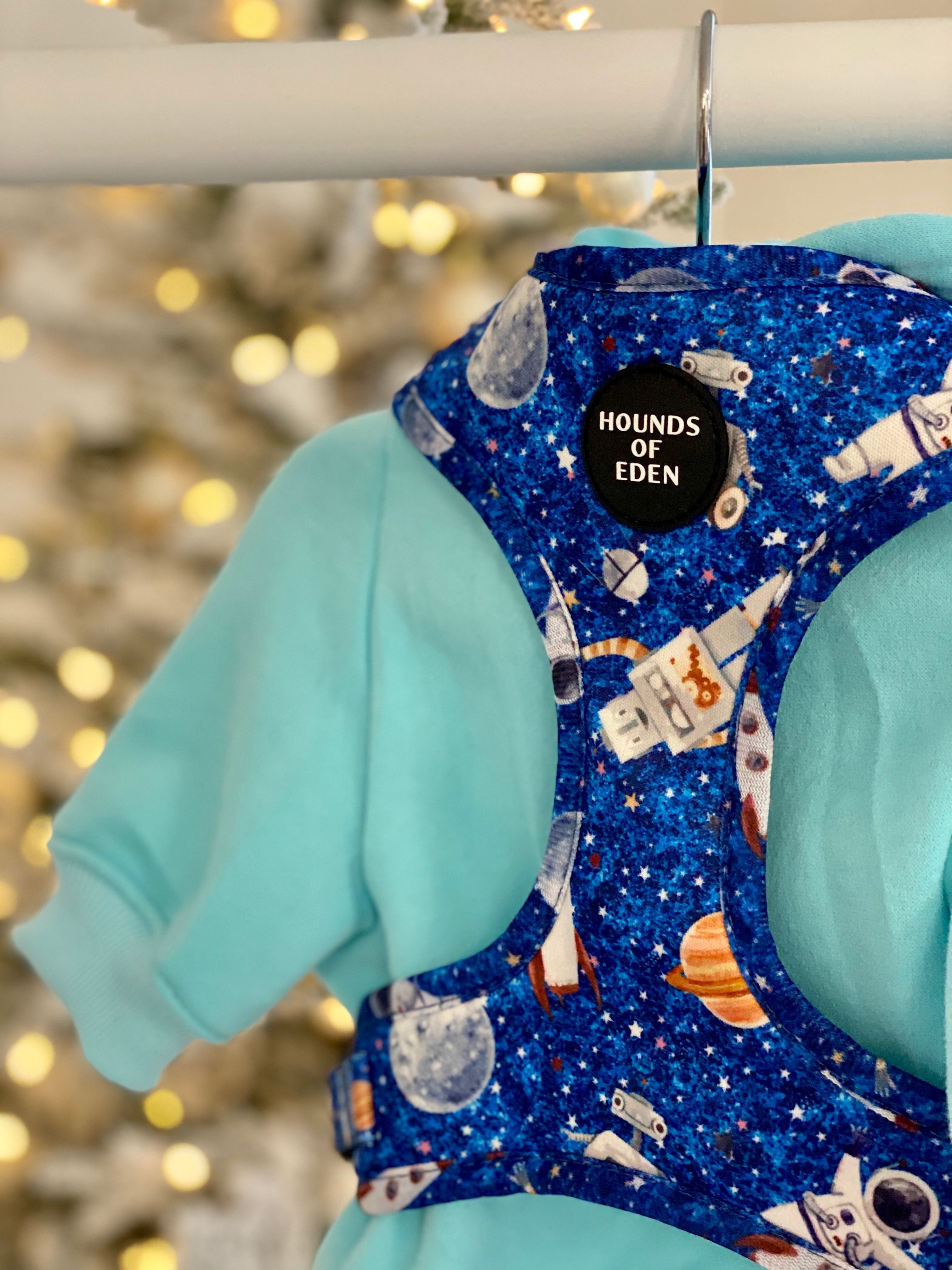 Dog Hoodie - Light Teal