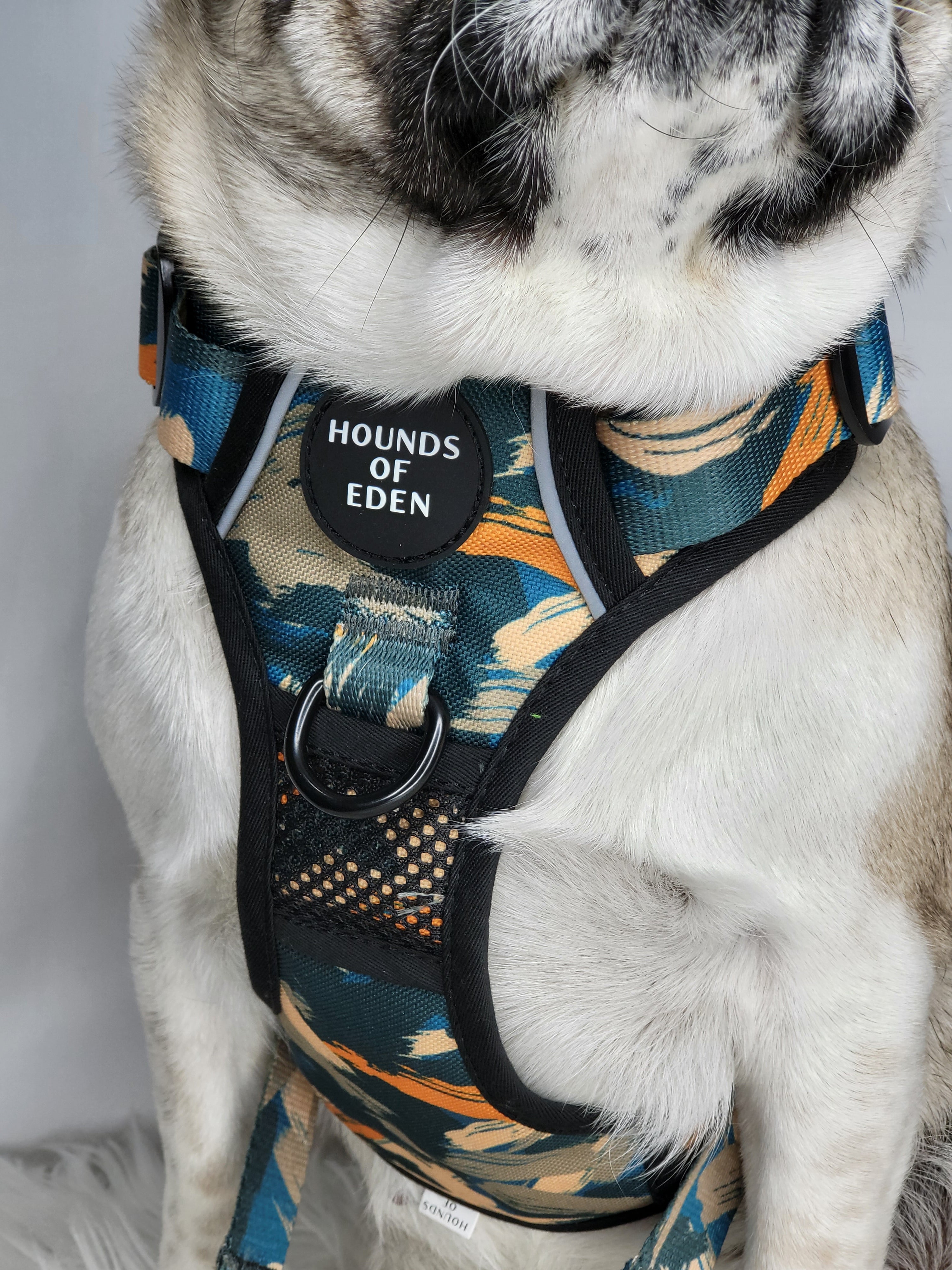 Supaw Strong™ 'Brush It Off' Utility Harness