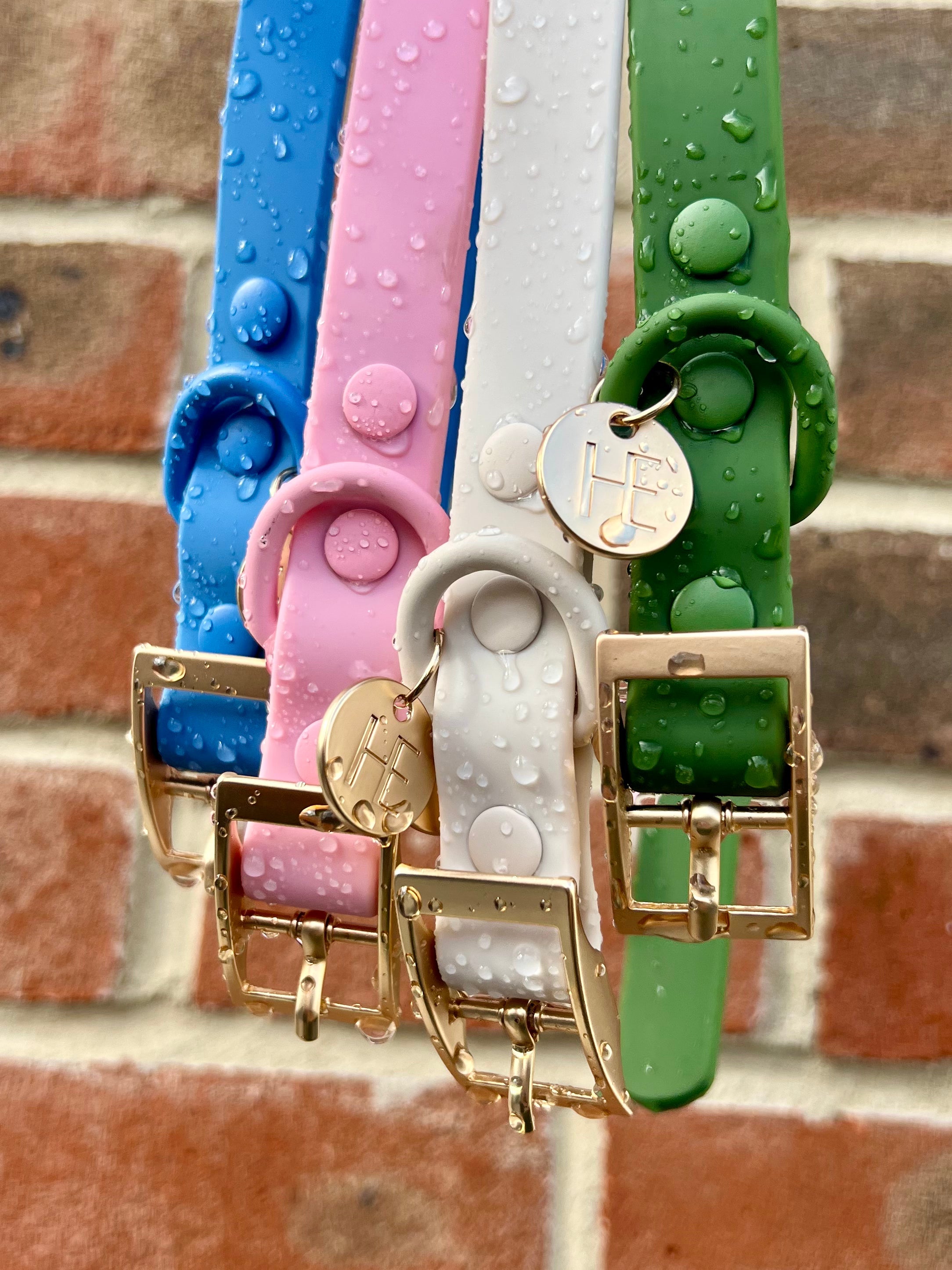 Forest Green 'All Weather' Dog Collar