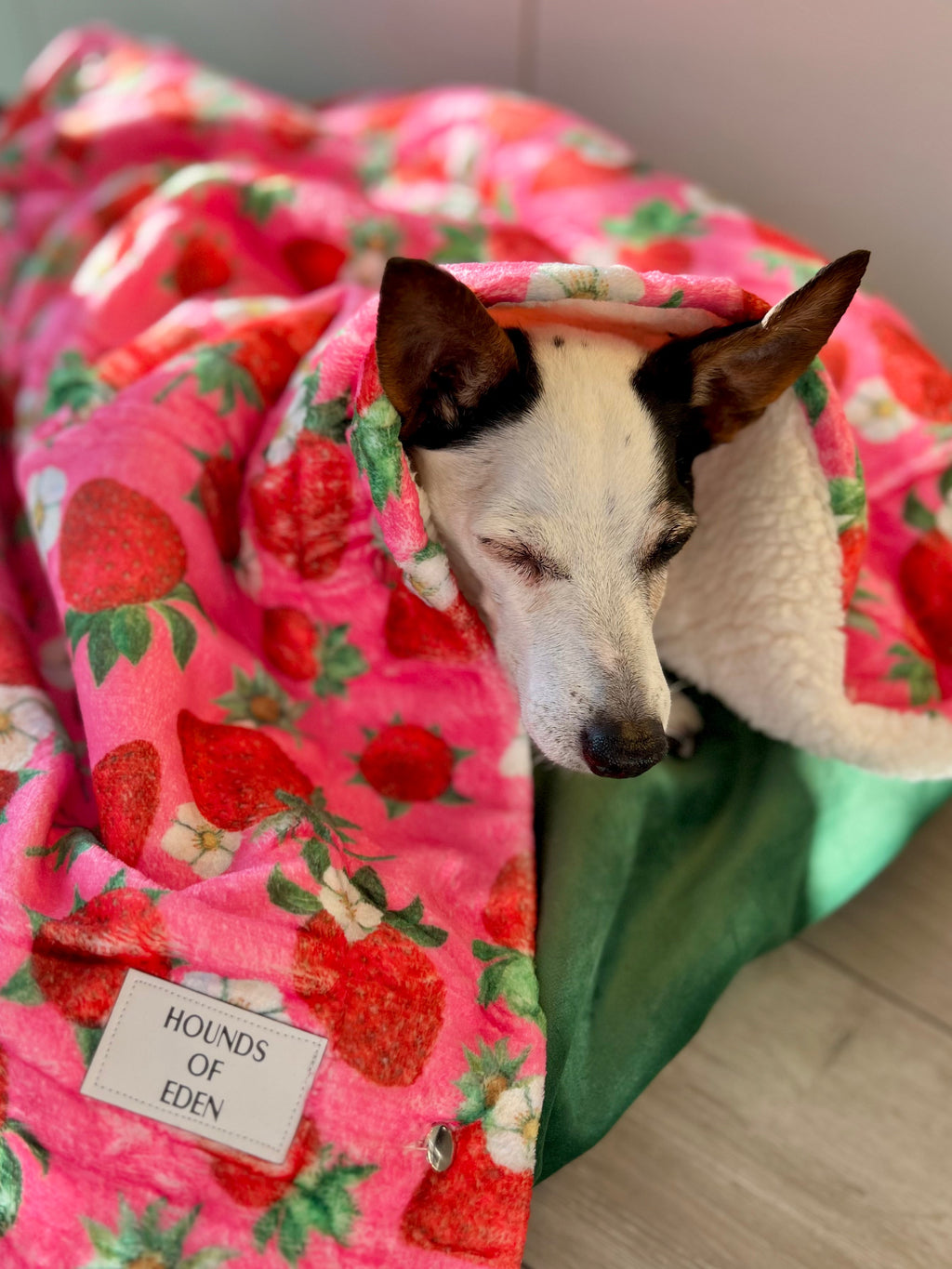 Strawberry Patch Snuggle Blanket