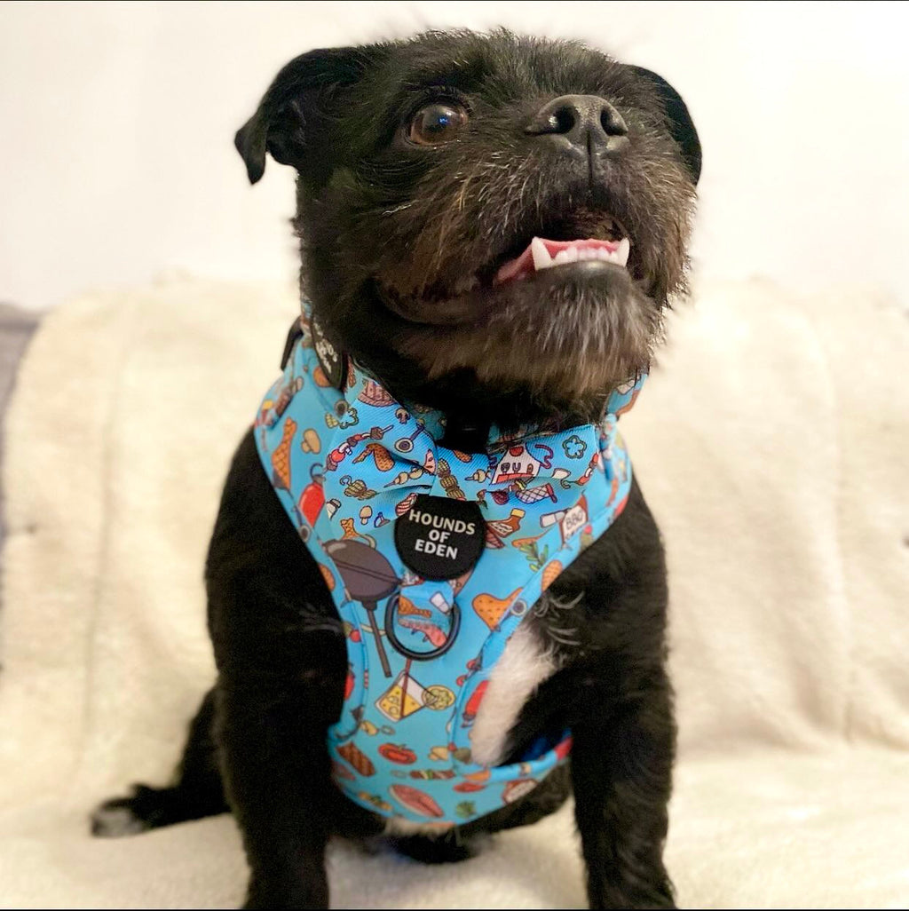 Grill 'n' Chill - Dog Collar