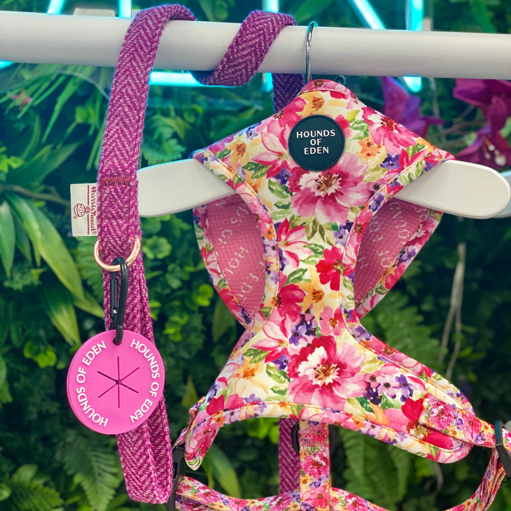 Florentina floral dog harness in pink, yellow, purple with matching leash