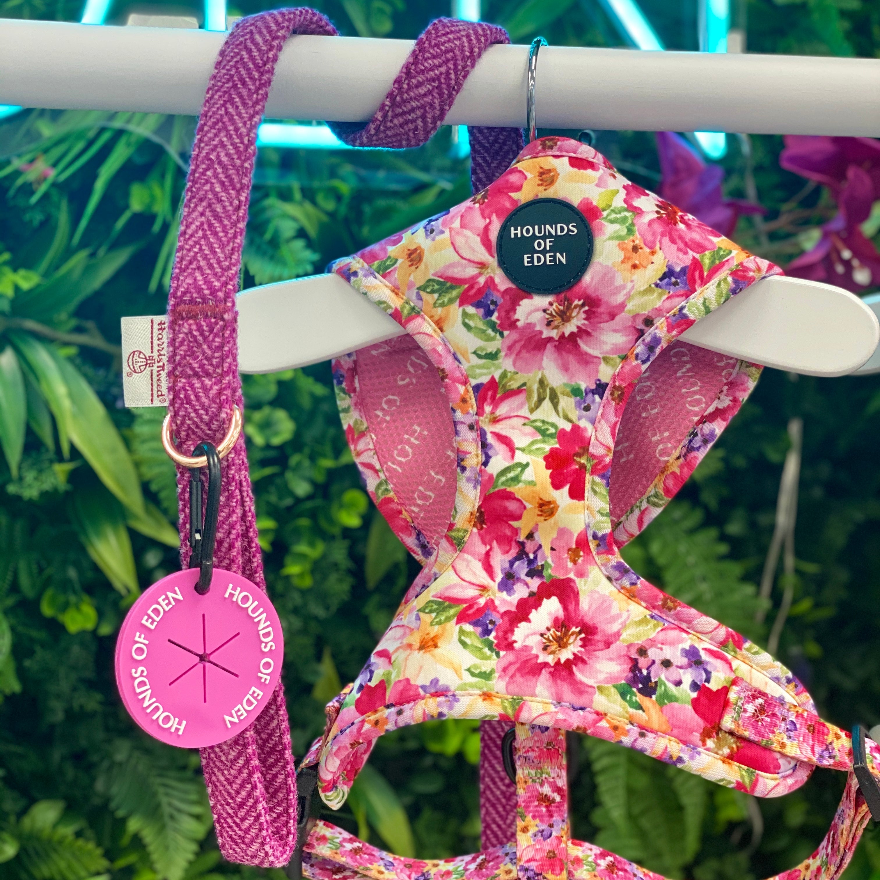 Florentina floral dog harness in pink, yellow, purple with matching leash