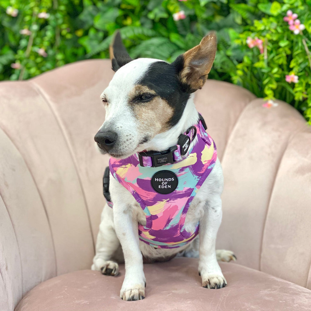 Blush it Off pink purple pastel mint lemon camo dog harness with Hounds of Eden branding