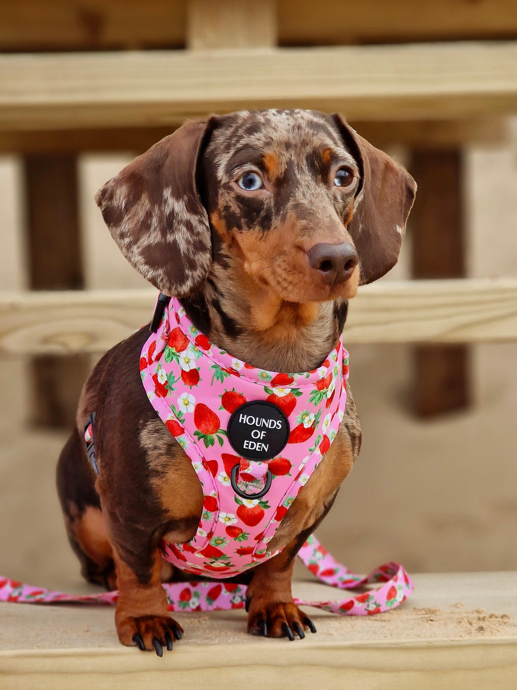 Strawberry Patch Snuggle Blanket