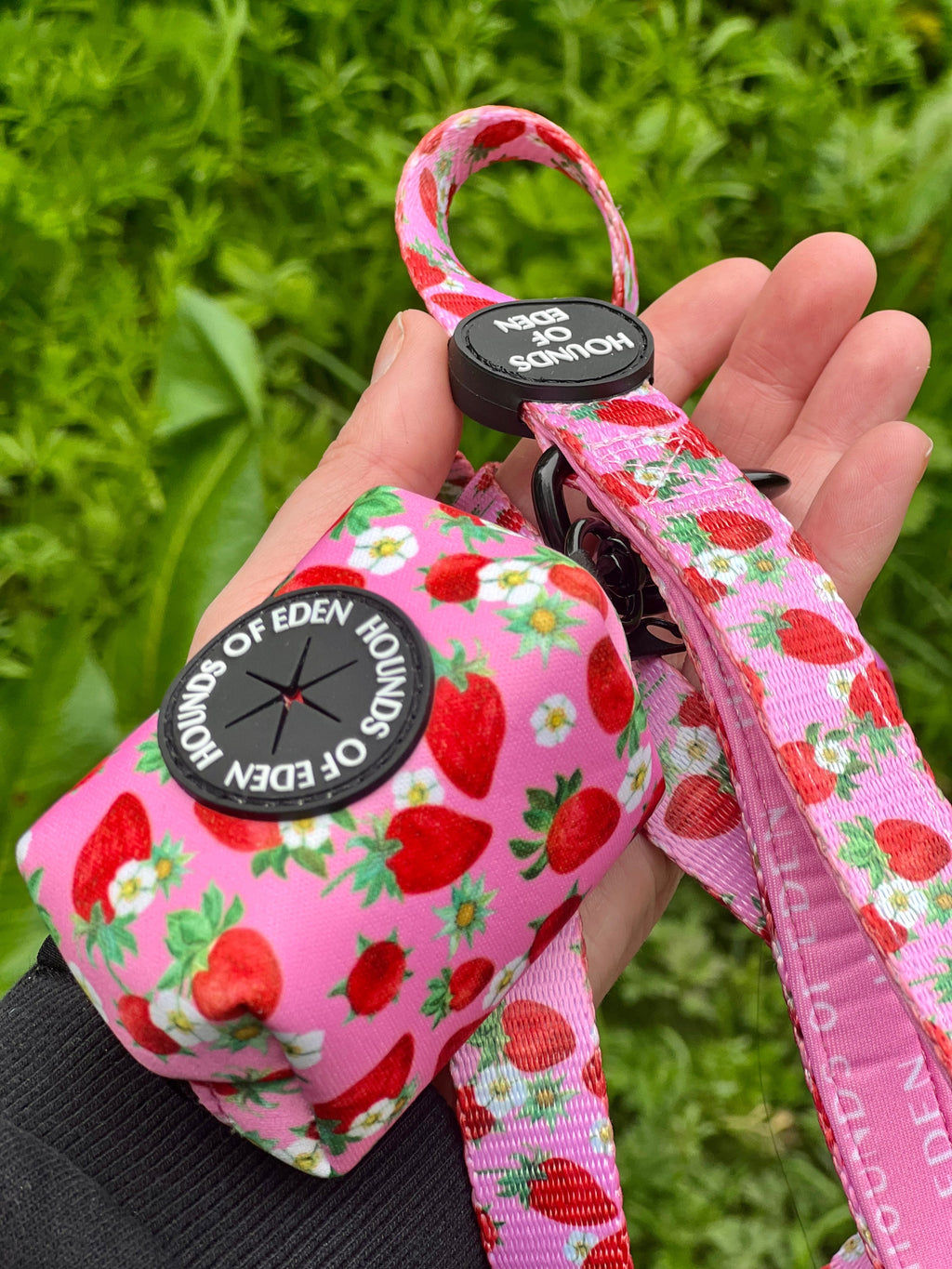 Strawberry Patch Design Dog Collar