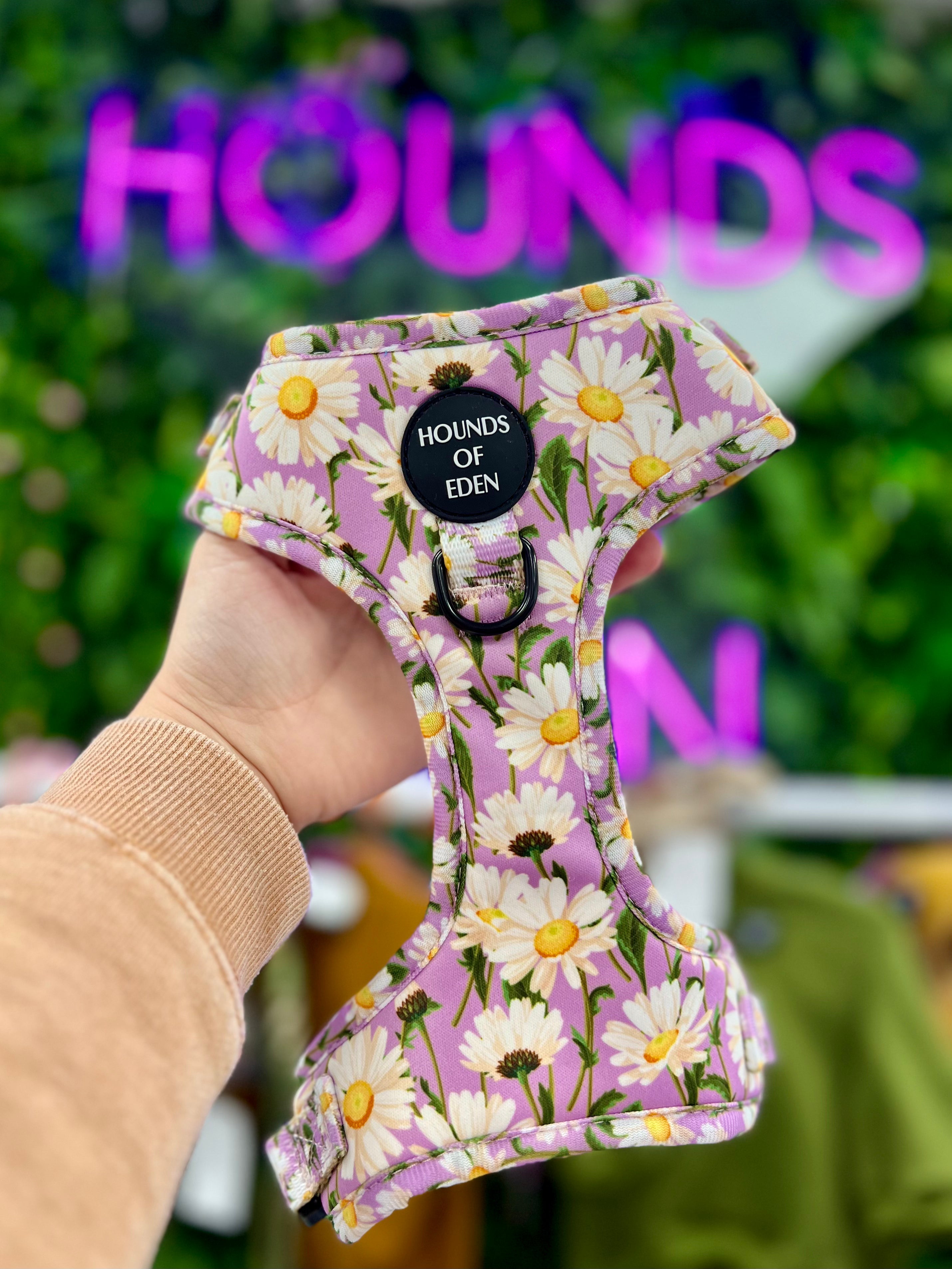 Daisy Dreams Design Dog Harness