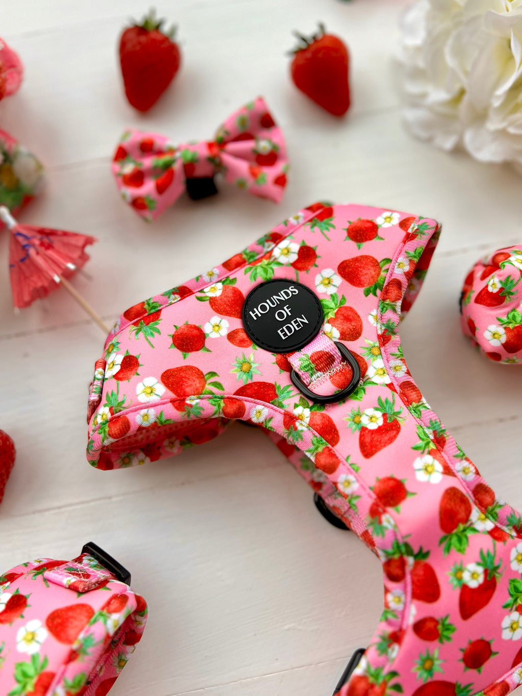 Strawberry Patch Design Dog Harness