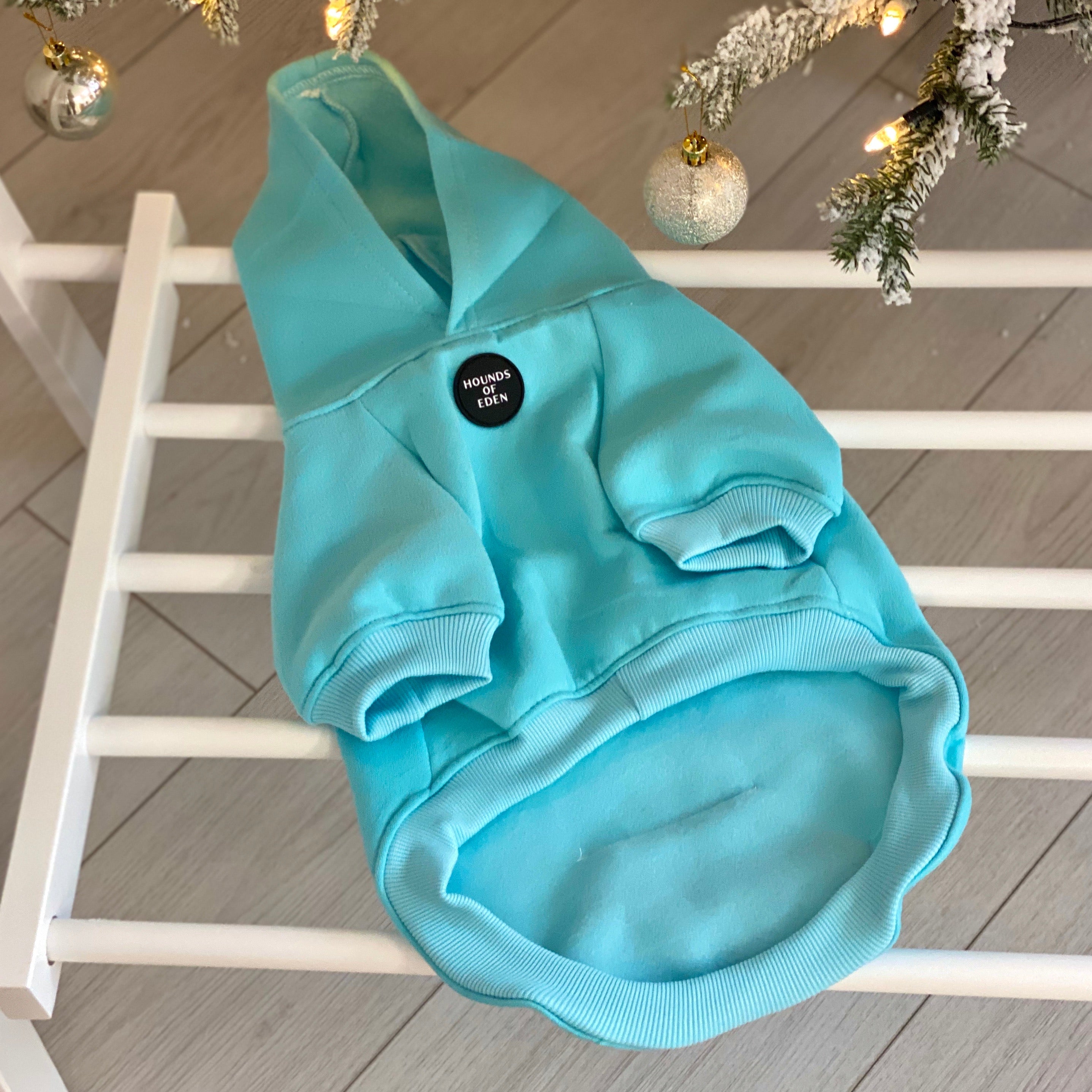 Dog Hoodie - Light Teal