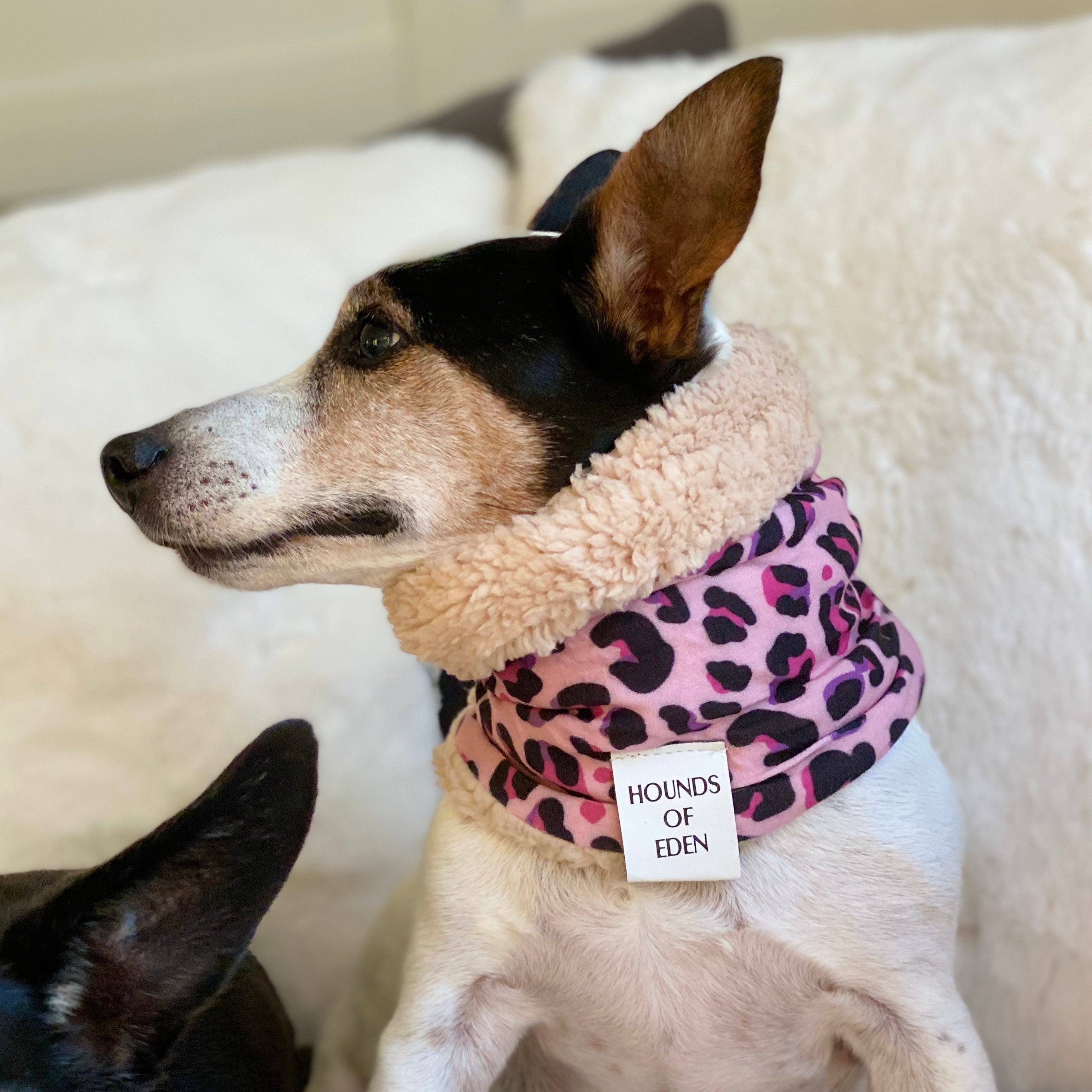 Blushing Leopard Dog Snood
