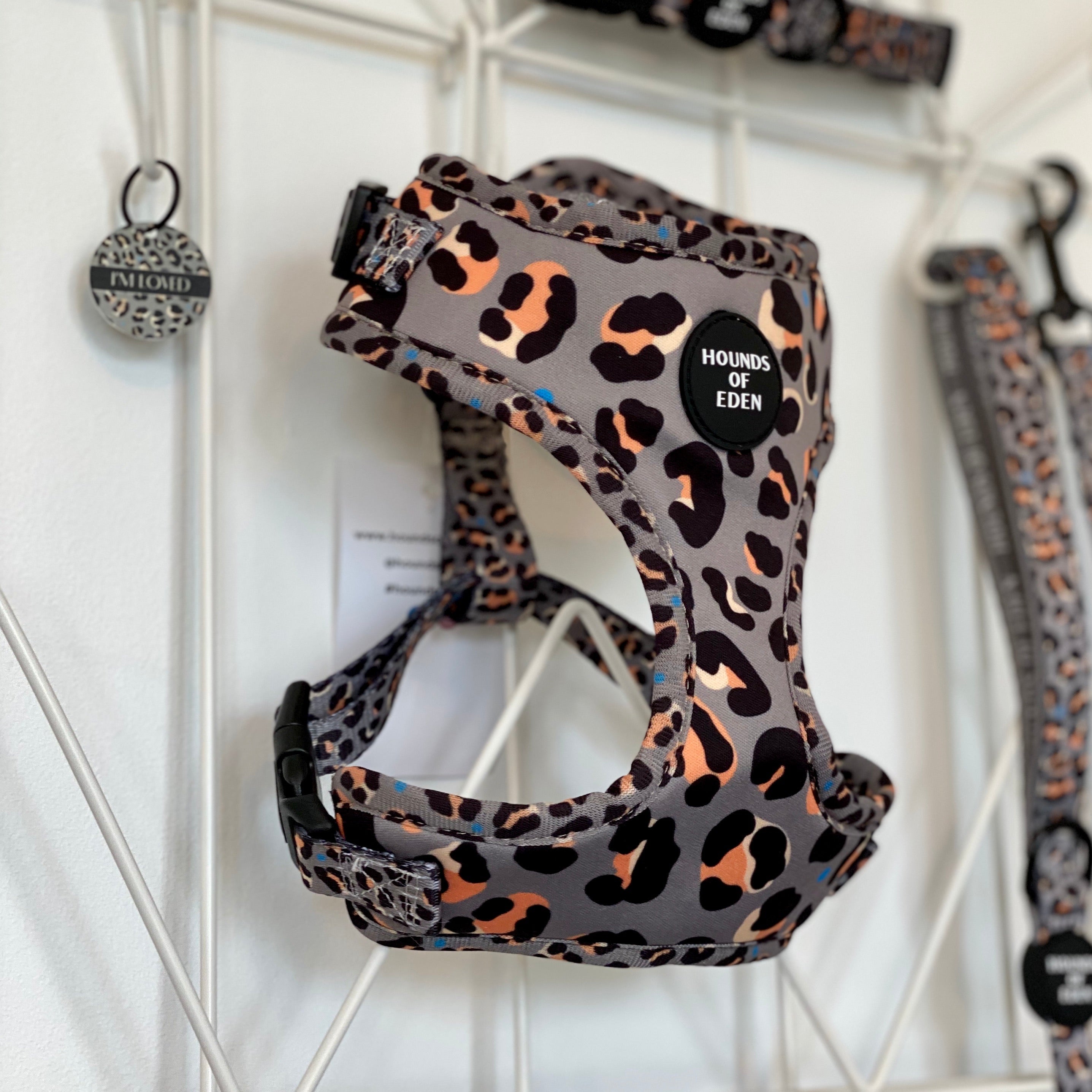 Steel Leopard khaki grey dog collar with gray leopard-print harness and Hounds of Eden patch