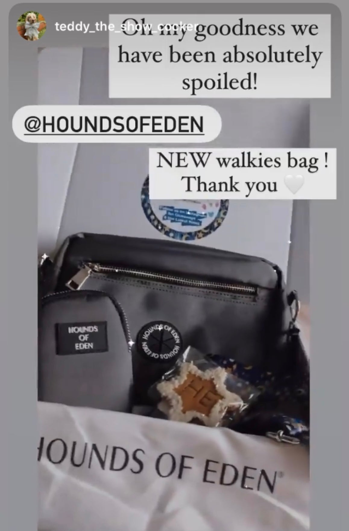 Ulti-Mate Dog Walking Bag - Grey *BAG ONLY*