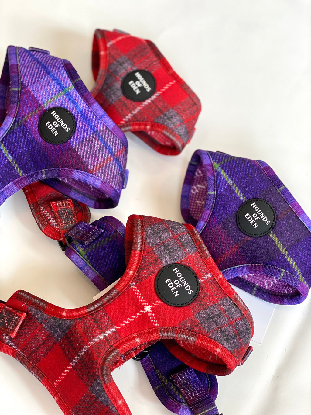 Sammi red and grey check dog harness with Hounds of Eden patch