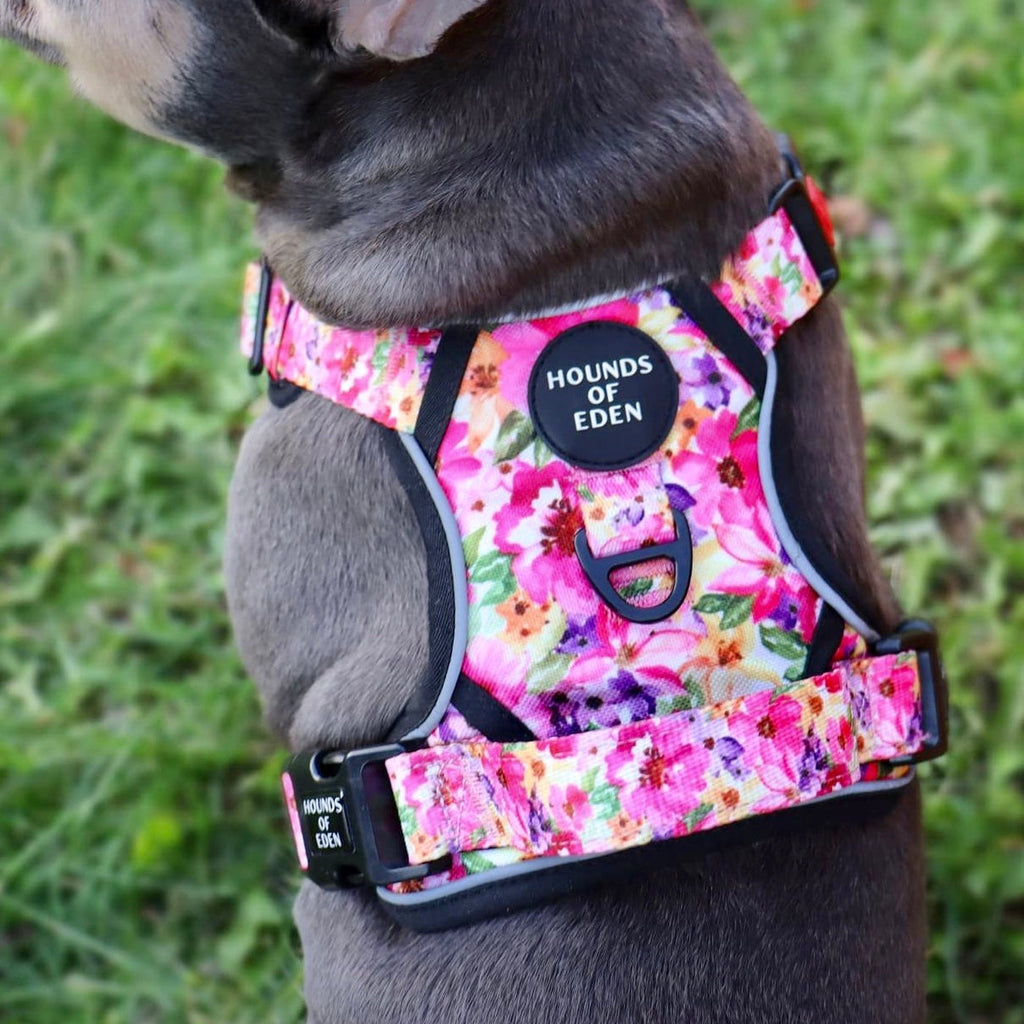 Supaw Strong™ 'Florentina' Utility Harness