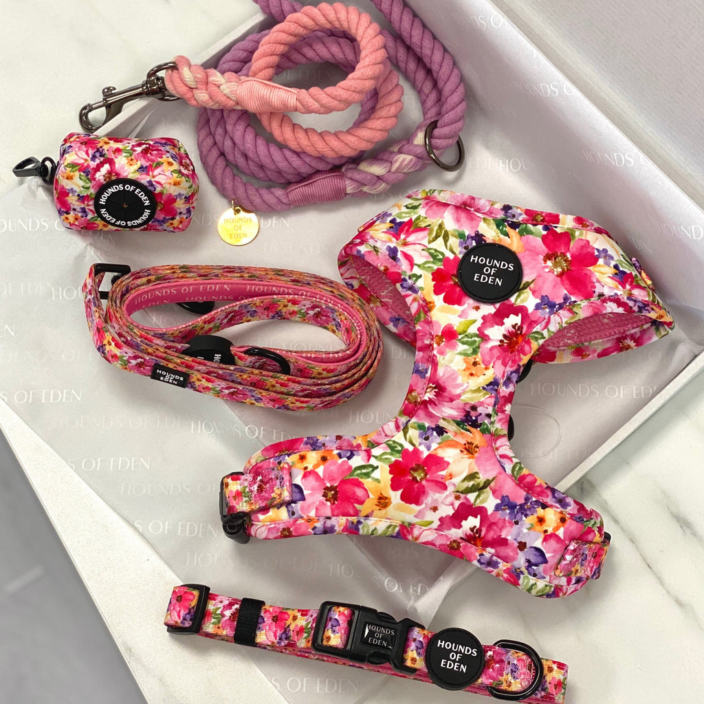 Florentina floral dog harness in vibrant pink, purple, yellow hues