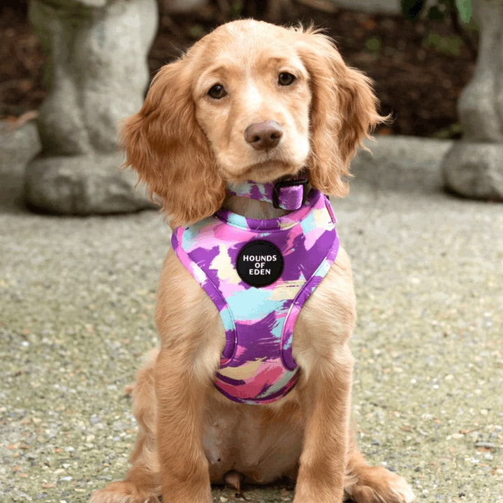 Blush it Off pink purple pastel mint lemon camo dog harness with Hounds of Eden logo