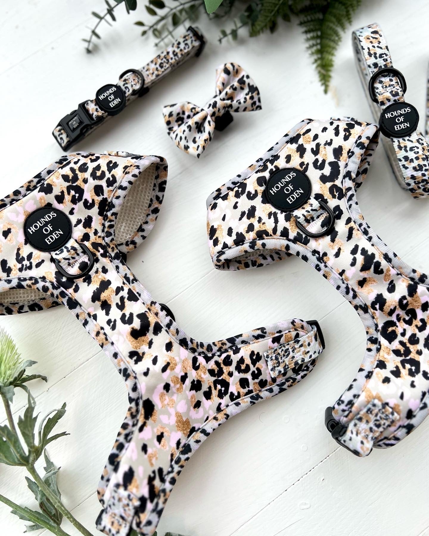 Sage Leopard Design Dog Collar