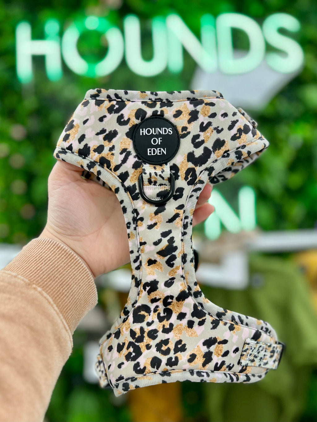 Sage Leopard Design Dog Harness