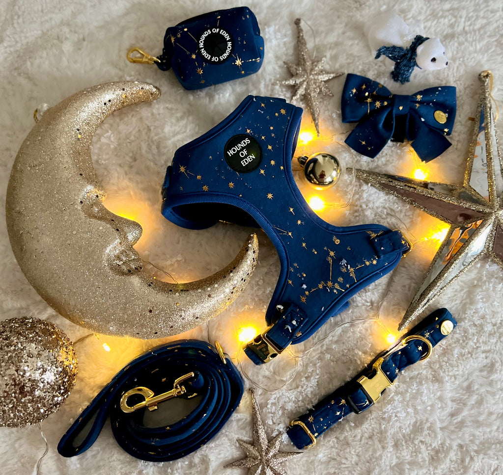 Sapphire Stars Velvet Harness