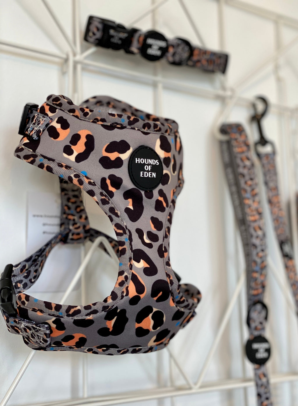 Gray leopard-print Steel Leopard harness with Hounds of Eden logo