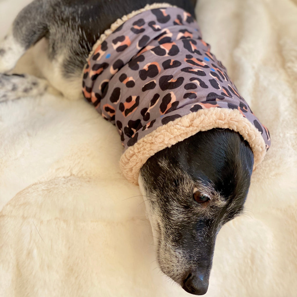 Steel Leopard Dog Snood