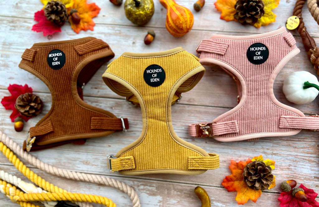 Mustard Yellow Corduroy Sailor Bow Tie