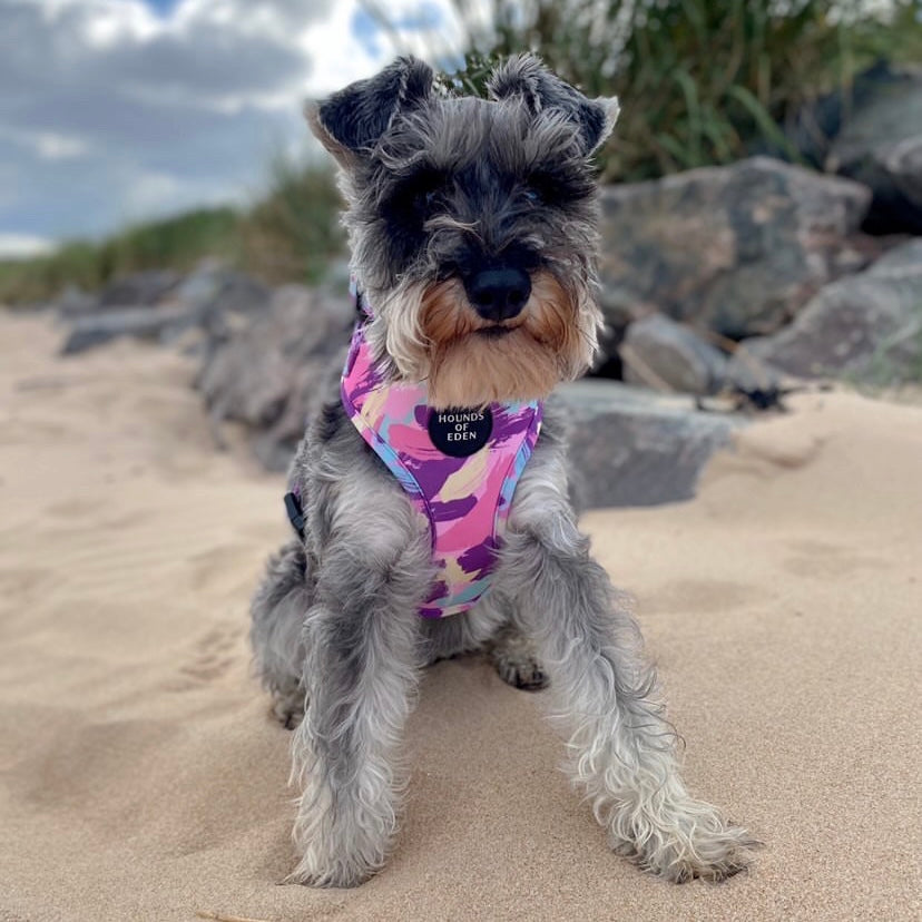 Blush it Off pink purple pastel mint lemon camo dog harness with Hounds of Eden logo