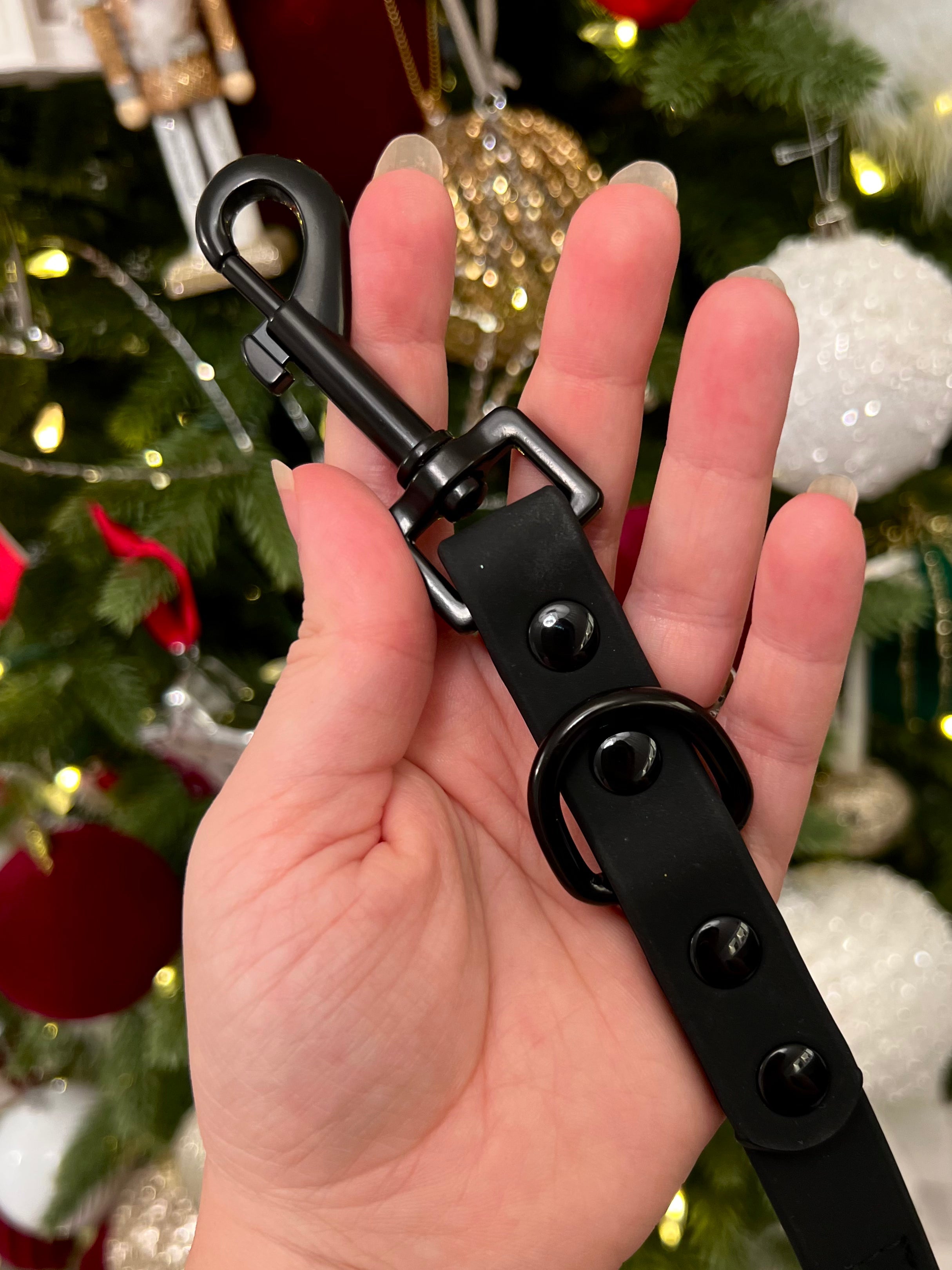 Black Waterproof 2m Training Lead