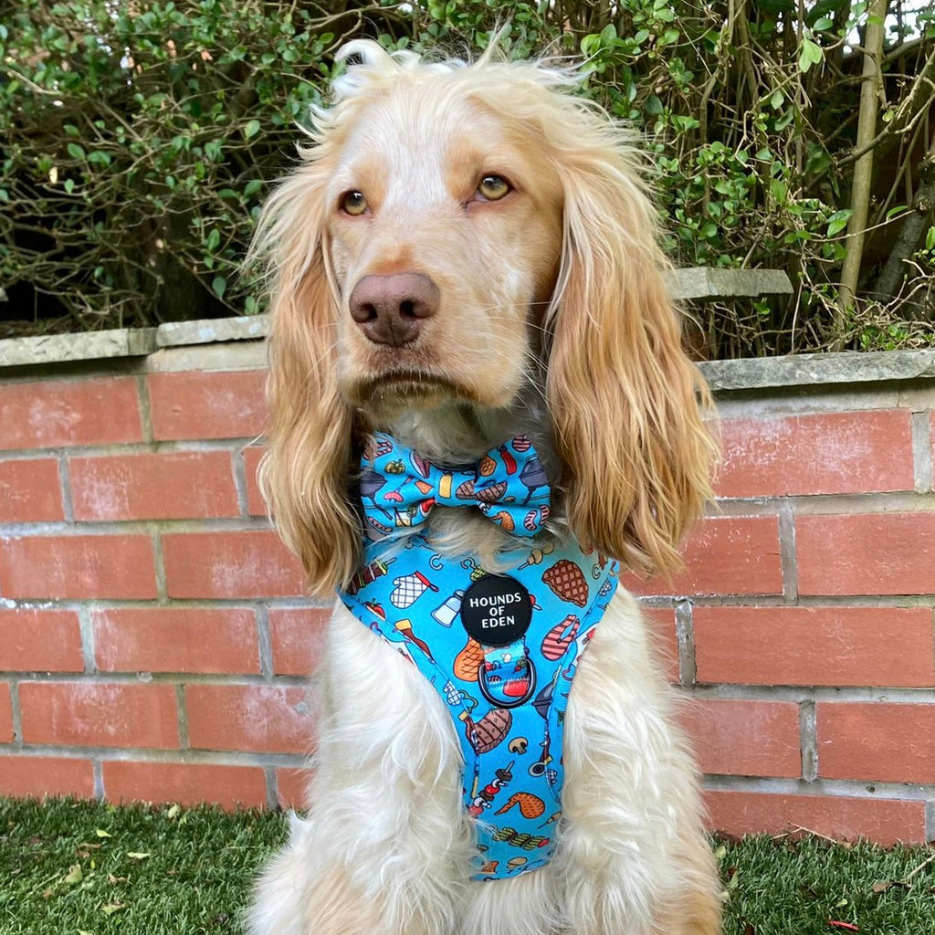 Grill 'n' Chill - Dog Collar