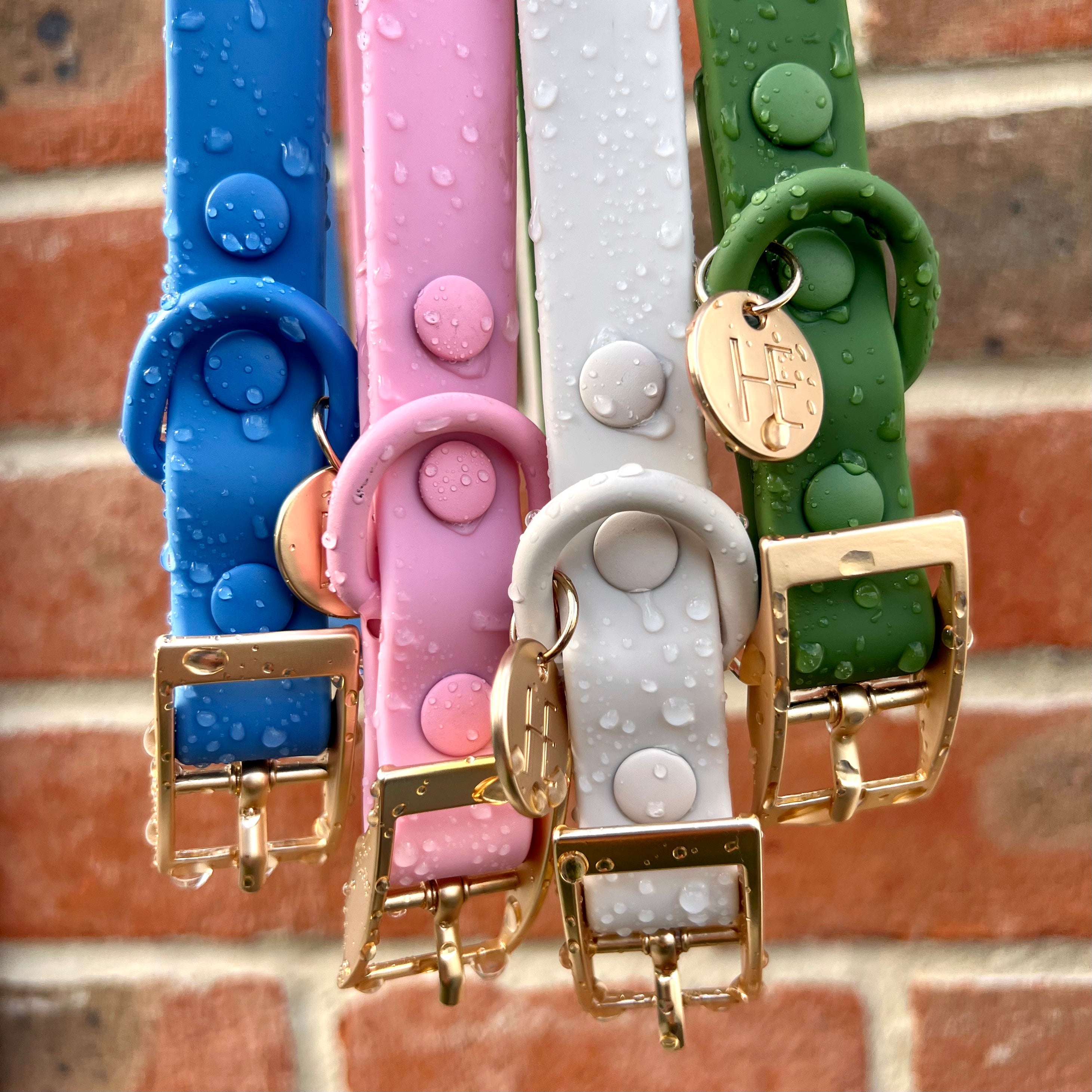 Forest Green 'All Weather'Dog Lead