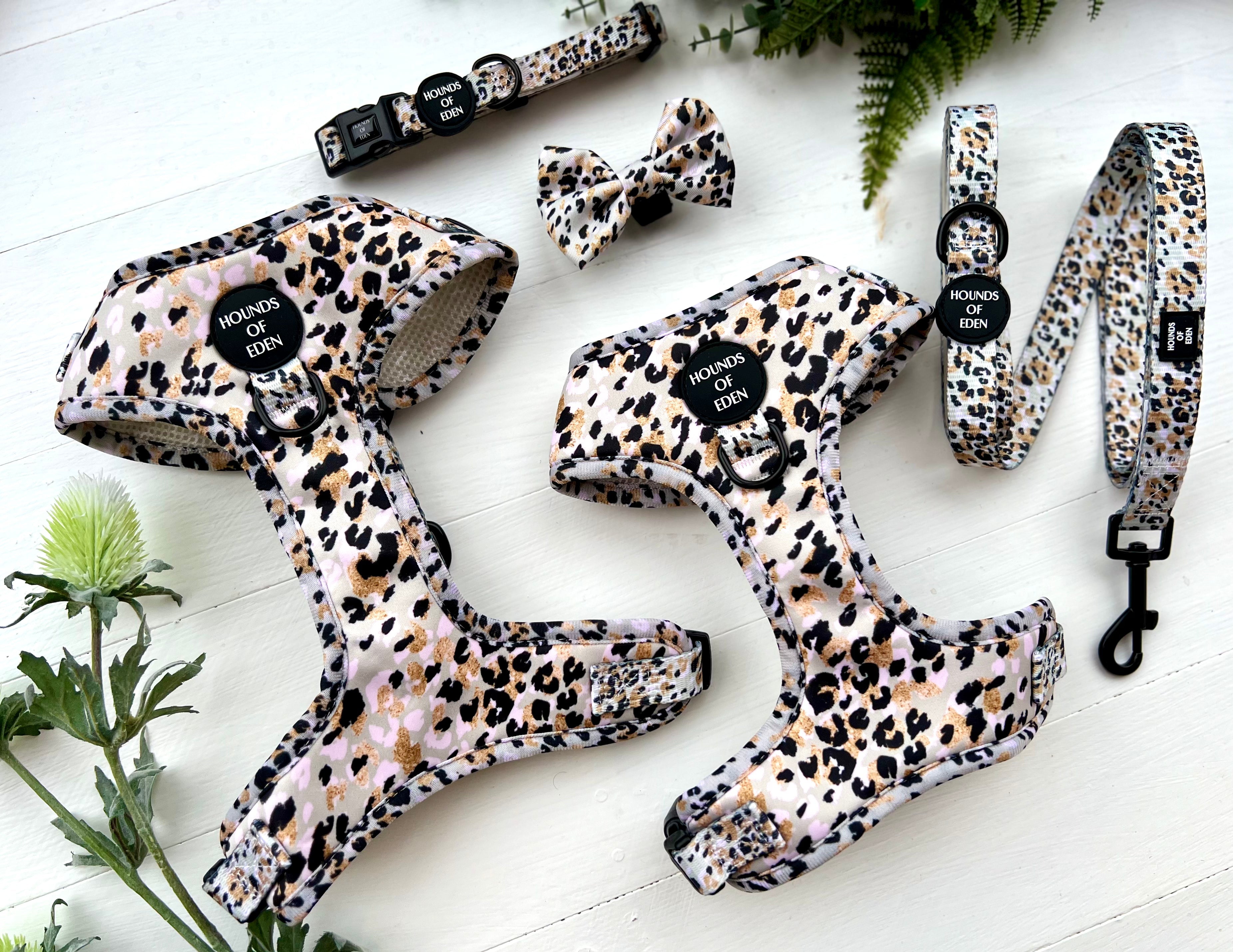 Sage Leopard Design Dog Harness