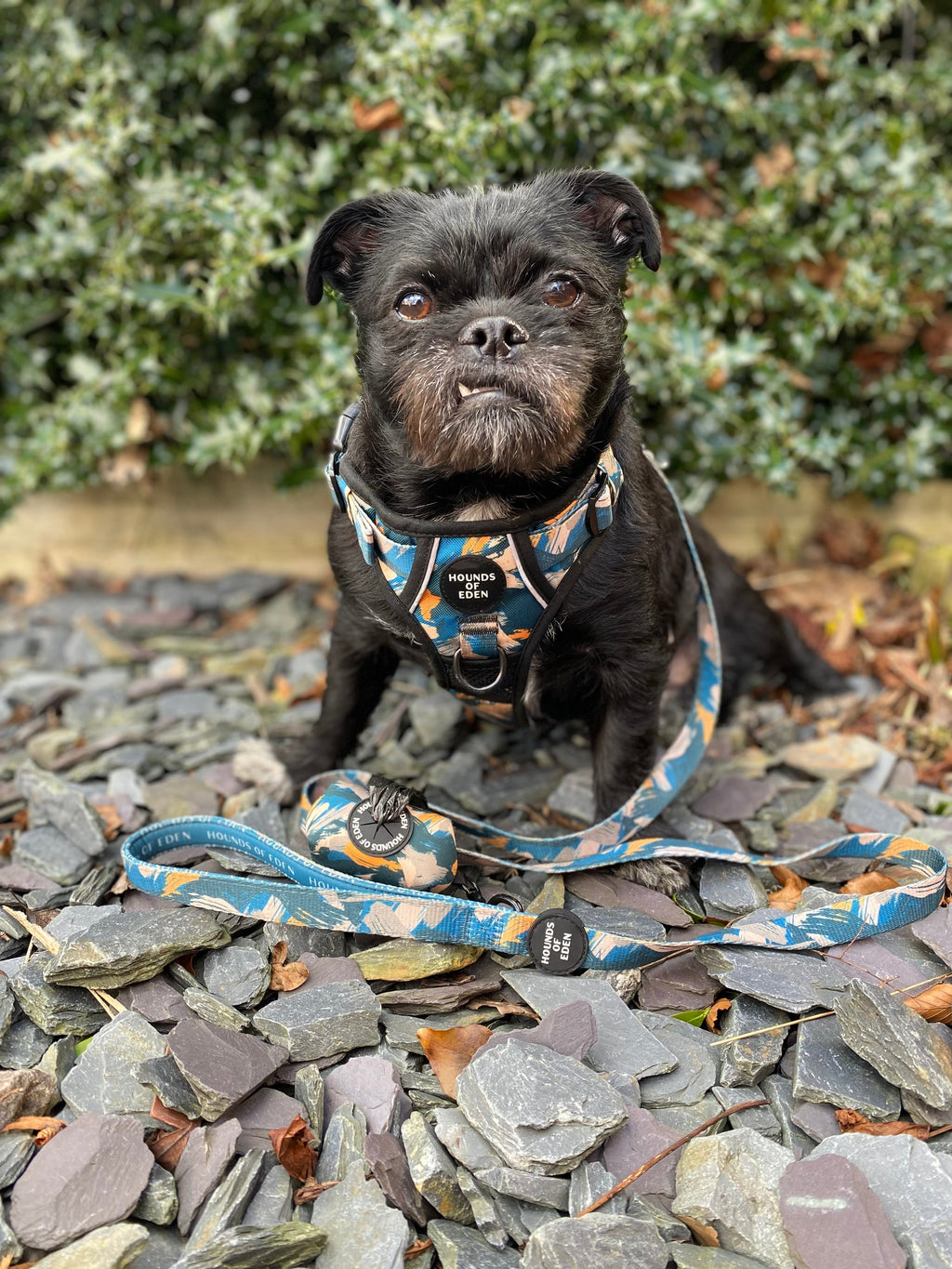 Supaw Strong™ 'Brush It Off' Utility Harness